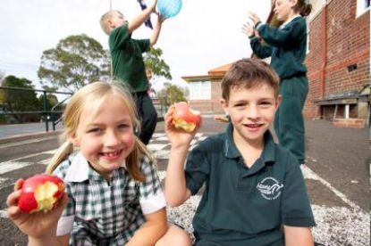 Picture of Healthy Schools Services