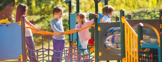 Picture of Playgrounds: Equipment Safety, Inspection and Guidance