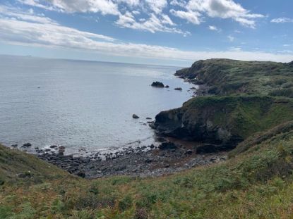 Picture of Diamond Service